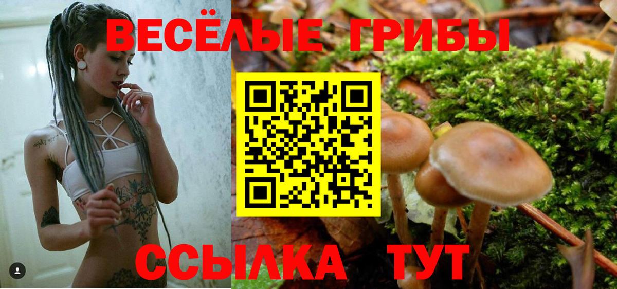 Псилоцибиновые грибы Psilocybe Грязи